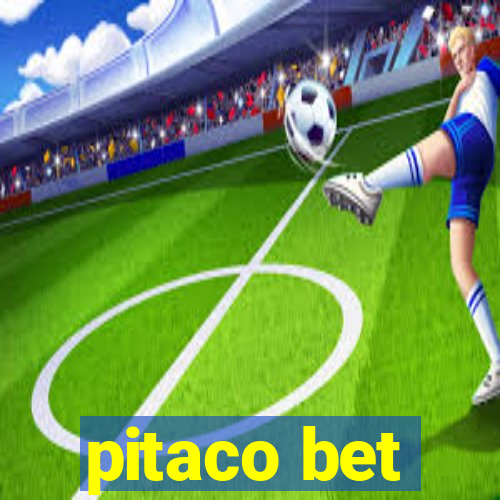 pitaco bet